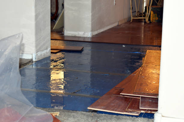 Professional Flood Damage Repair technician working in Round Top, TX